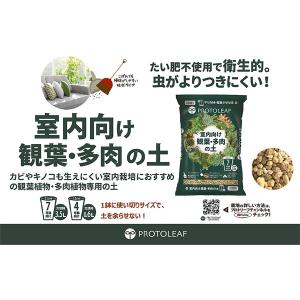 室内向け観葉・多肉の土10号鉢用 8.4L プ...の詳細画像2