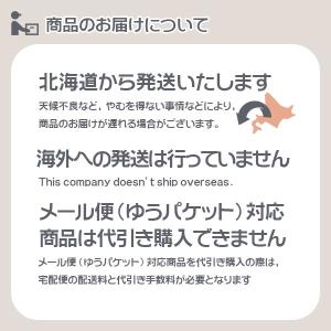 室内向け観葉・多肉の土10号鉢用 8.4L プ...の詳細画像3