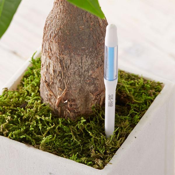 水やりチェッカー SUS-TEE(サスティー) Sサイズ ホワイト キャビノチェ 2〜3号鉢用 植物...