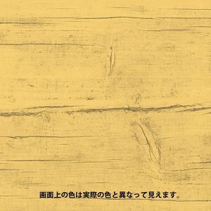 キシラデコール 7L カラレス 大阪ガスケミカ...の詳細画像1