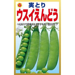 野菜 種 アタリヤ その他種 種子 の商品一覧 種 種子 花 ガーデニング 通販 Yahoo ショッピング