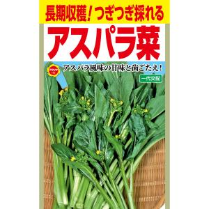 長期収穫 つぎつぎ採れる 一代交配 アスパラ菜 アタリヤ農園 野菜種 M｜wise-life