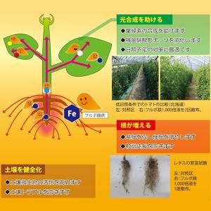 肥料 カナディアンフルボ フルボ鉄+マルチミネ...の詳細画像2