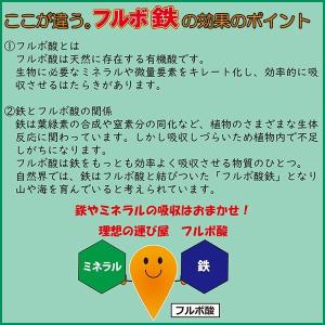肥料 カナディアンフルボ フルボ鉄+マルチミネ...の詳細画像3