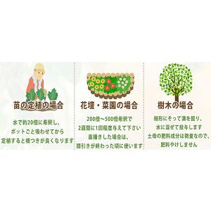 活力剤 土母 (どうも) 1L 環境セラピィ ...の詳細画像4