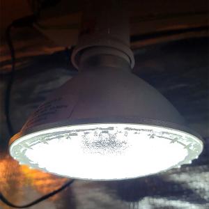 LED PAR-LIGHT + UV 13w 卓上ライト LEDライト｜wise-life