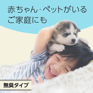 忌避剤 マモルーム 蚊に効く貼るだけプレート ...の詳細画像5