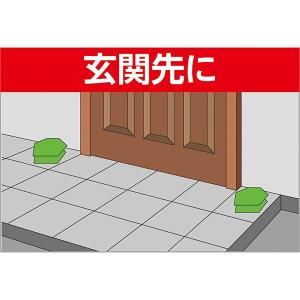 殺虫剤 カダン お庭の虫キラー誘引殺虫剤 8個...の詳細画像3