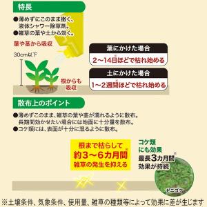 除草剤 ネコソギシャワーV6 4L レインボー...の詳細画像2