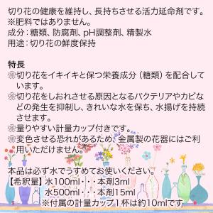 切花延命剤 レインボー 切り花延命剤 480m...の詳細画像1
