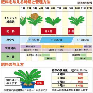 肥料 クンシランの肥料 400g 東商 肥料 ...の詳細画像1