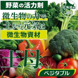 野菜の活力剤 土母 ベジタブル 500ml 環...の詳細画像1