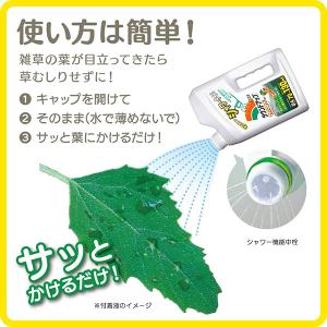 除草剤 ラウンドアップマックスロード AL 4...の詳細画像1