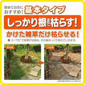 除草剤 ラウンドアップマックスロード AL 4...の詳細画像2