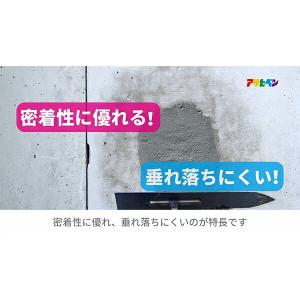 コンクリート補修材 外カベ・ブロック塀用セメン...の詳細画像3