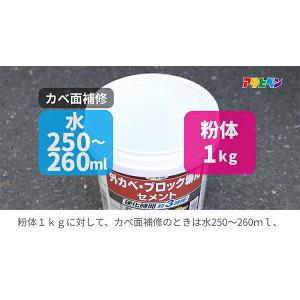 コンクリート補修材 外カベ・ブロック塀用セメン...の詳細画像5