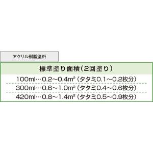 塗料 クリエイティブカラースプレー 420ml...の詳細画像5