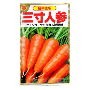 極早生系 三寸人参 アタリヤ農園 プランターでも作れる短根種