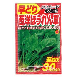 西洋 ほうれん草の商品一覧 通販 Yahoo ショッピング