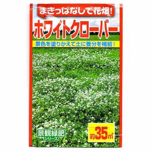 まきっぱなしで花畑 ホワイトクローバー アタリヤ農園 景色を塗りかえて土に養分を補給 景観緑肥 M｜ワイズライフYahoo!店