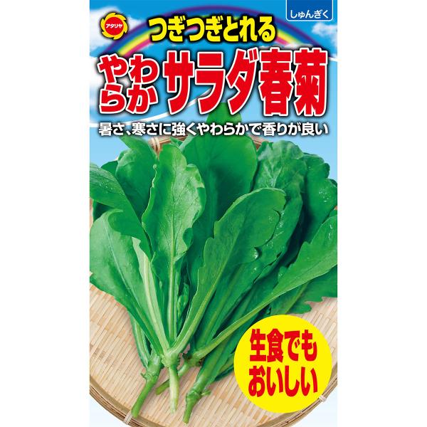 つぎつぎとれる やわらかサラダ春菊 アタリヤ農園 生食でもおいしい 野菜種 M