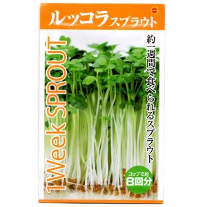 スプラウト ルッコラ アタリヤ農園 1Week SPROUT 野菜種｜wise-life