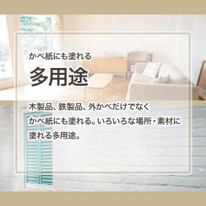 塗料 マットペイントスプレー 300ml ブラ...の詳細画像4