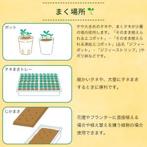 培養土 Seedfun ジフィーミックス かん...の詳細画像3
