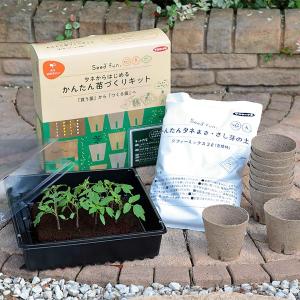 サカタのタネ（サカタノタネ） そのまま植えられる土ポット ジフィー
