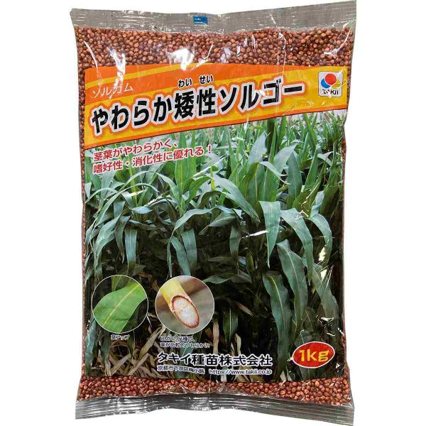 ソルガム やわらか矮性ソルゴー 5kg(1kg×5袋) タキイ種苗 タネのタキイ 種子 緑肥 代金引...