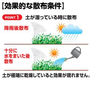 除草剤 クサノンGT粒剤 400g KINCH...の詳細画像3