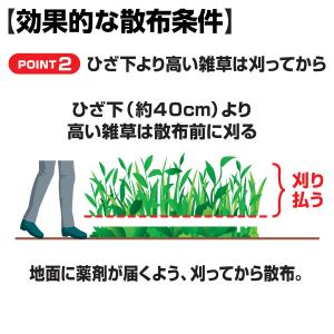 除草剤 クサノンGT粒剤 400g KINCH...の詳細画像4