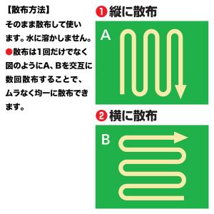 除草剤 クサノンGT粒剤 400g KINCH...の詳細画像5