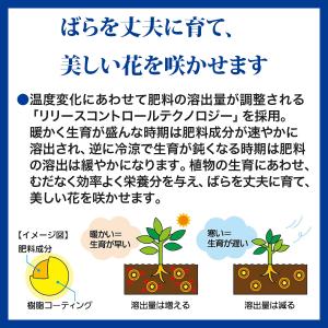 肥料 マイローズ ばらの肥料 700g KIN...の詳細画像2