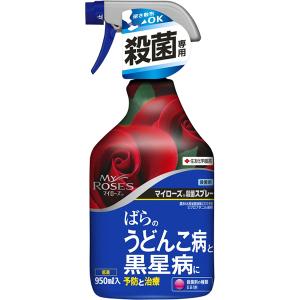 マイローズ 殺菌スプレー 950ml 住友化学園芸 ばらのうどんこ病と黒星病に予防と治療 殺菌剤｜wise-life