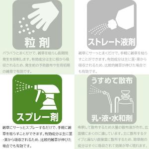 除草剤 草退治シャワーワイド 1000ml K...の詳細画像1
