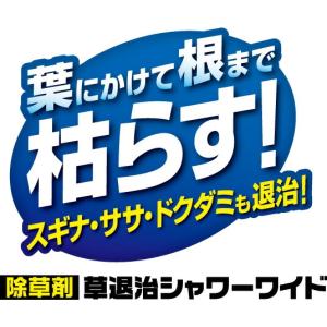 除草剤 草退治シャワーワイド 1000ml K...の詳細画像4