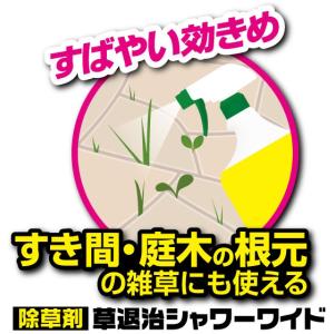 除草剤 草退治シャワーワイド 1000ml K...の詳細画像5