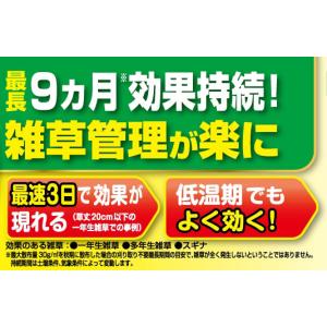 除草剤 クサノンEX粒剤 5kg KINCHO...の詳細画像5