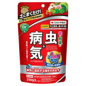 ベニカXガード粒剤 250g 住友化学園芸 虫＆病気 発生前の予防が効果的 殺虫殺菌剤 M3｜wise-life