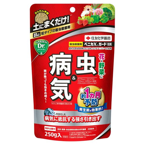 ベニカXガード粒剤 250g KINCHO園芸 殺虫剤 ベニカ 殺虫剤 顆粒 殺虫剤 殺菌剤 ベニカ...