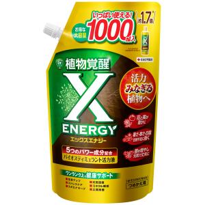 X-ENERGY つめかえ用 1000ml KINCHO園芸 植物覚醒 エックスエナジー 植物活力液 エックスエナジー つめかえ 植物活力液 土壌改善 生育向上 根張り向上