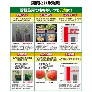 X-ENERGY つめかえ用 1000ml K...の詳細画像4