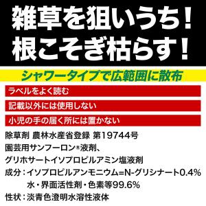 除草剤 園芸用 サンフーロン 液剤 2L トヨ...の詳細画像1