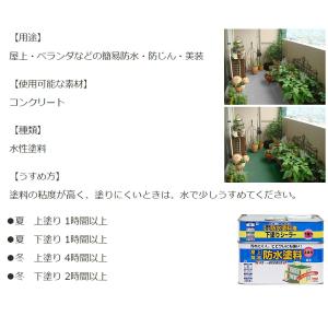 防水塗料 水性屋上防水塗料セット 8.5kg ...の詳細画像2