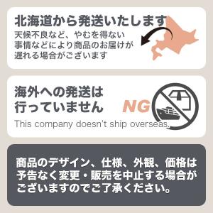 塗料 水性木部保護塗料 3L チーク ニッペ ...の詳細画像3
