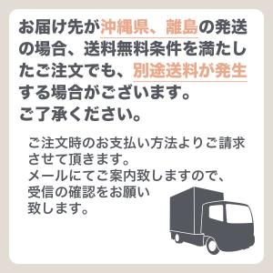 塗料 水性木部保護塗料 3L チーク ニッペ ...の詳細画像5