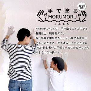 壁用仕上 補修材 STYLE MORUMORU...の詳細画像2