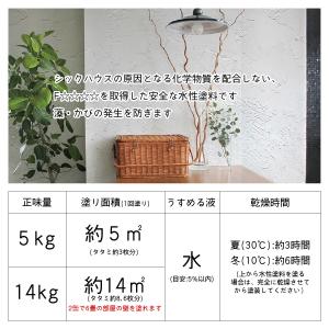 壁用仕上 補修材 STYLE MORUMORU...の詳細画像4