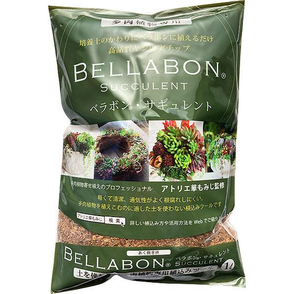 ベラボン・サキュレント 1L フジック 培養土のかわりにベラボンに植えるだけ 多肉植物専用 アトリエ...